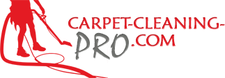 carpet-cleaning-pro.com